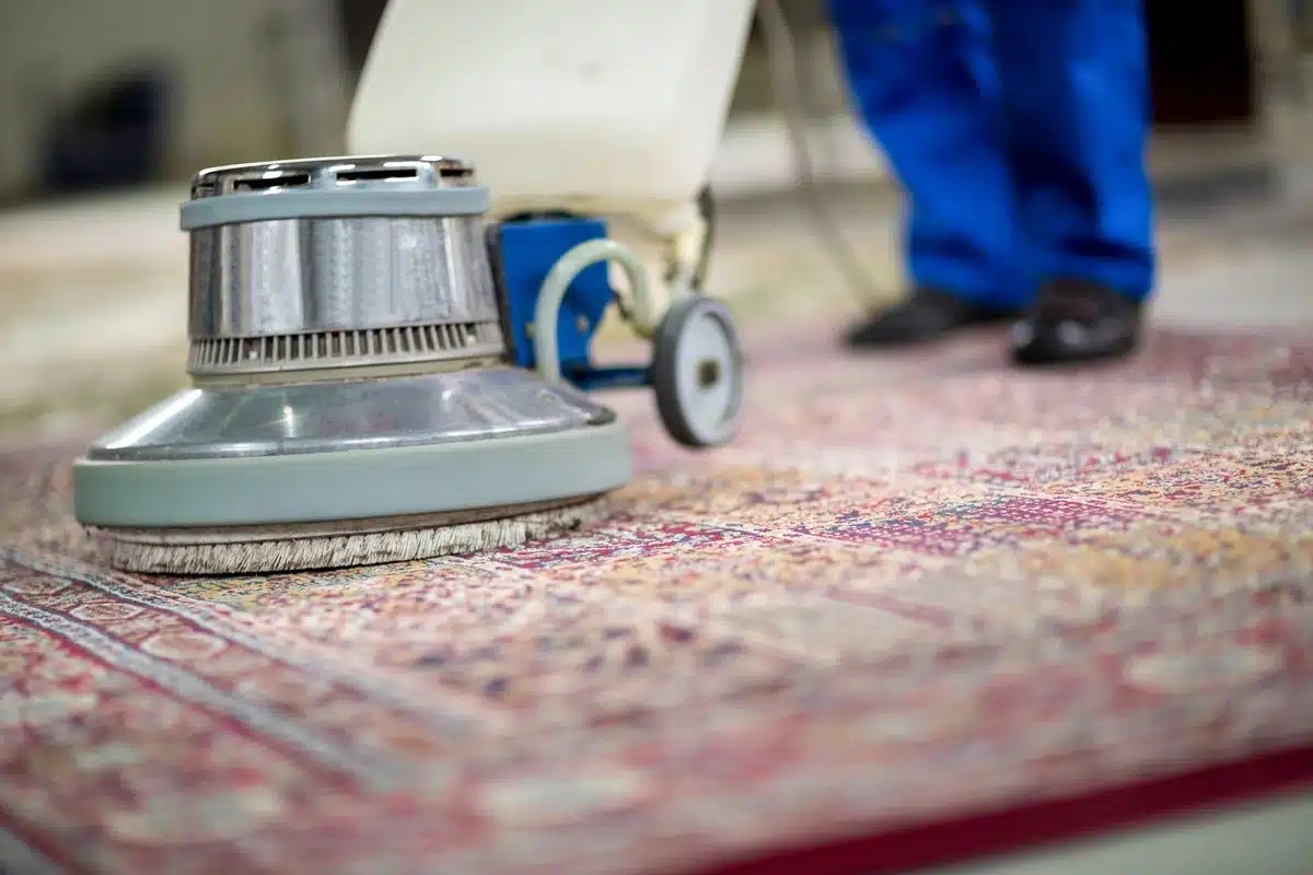 Carpet Cleaning Service