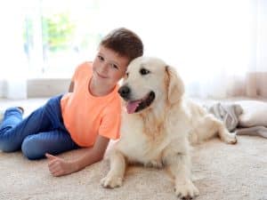carpet cleaning for Pet odors and stains